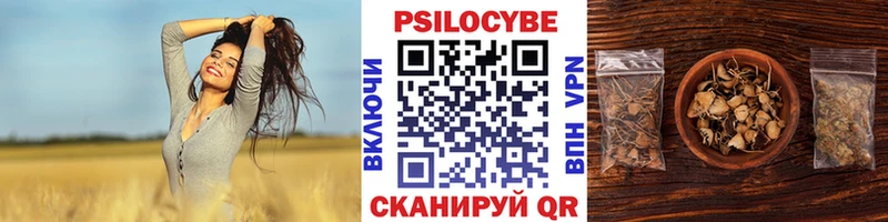 Купить  Вуктыл  Псилоцибиновые грибы GOLDEN TEACHER 